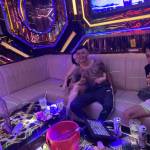 anh heo Profile Picture