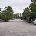 Ty Trần Profile Picture