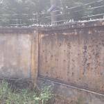 Phan Thị Tài Phan Profile Picture