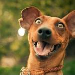 Tâm Trần Profile Picture