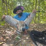 Kuda Tu Profile Picture