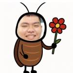 vanhung1 Profile Picture