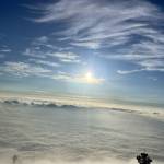 Lam Nguyễn Profile Picture