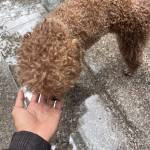 nhật khoa Profile Picture