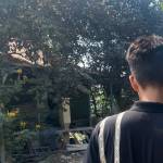 Nhật Nguyễn Profile Picture