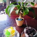 Ducminh1208 Profile Picture