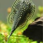 Tuân Phùng Profile Picture