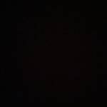 Hải Dũng Profile Picture