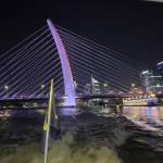 Quy XX Profile Picture