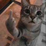 Hoangll Profile Picture