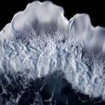 Long Tran Profile Picture