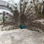 Phong Lại Profile Picture