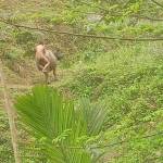 Hiếu Nguyễn Profile Picture