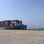 Datttt Gà Profile Picture