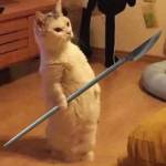 Cuong Nguyen Profile Picture