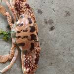 HuuThuan Profile Picture