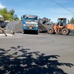 Vàng Mai Profile Picture