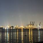 BP116 Profile Picture