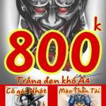 Thinh Thach Profile Picture