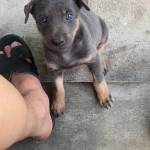 Quân Hoàng Profile Picture