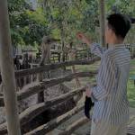 đức huy nguyễn Profile Picture