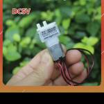 hoàng le Profile Picture