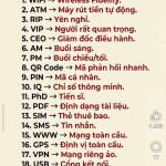 Đại Du Profile Picture