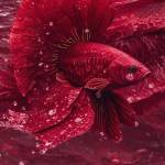 Trung cut Pham Profile Picture