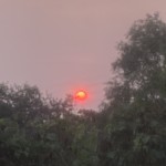 Massagertainha Profile Picture