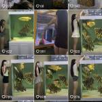 Tinh Van Profile Picture