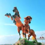 Ka Mr Profile Picture