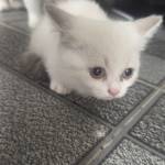 Victor F Profile Picture