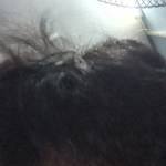 Hao Lam Profile Picture