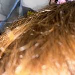 Tuan Tuan Profile Picture