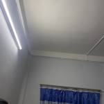 Bùi Phong Profile Picture