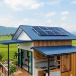 Truong Tân Profile Picture