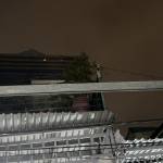 Long Anh Profile Picture