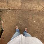 Hứa Hẹn Profile Picture