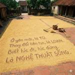 Longhai Vo Profile Picture