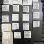 Phong Pham Profile Picture