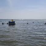 Sang Danhsang Profile Picture