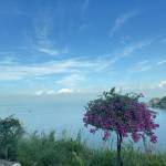 Thế Anh Profile Picture