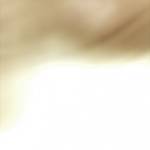 banh nguyen Profile Picture