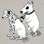 Minh Hai Profile Picture