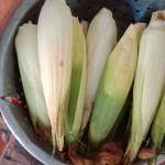 Ken Tran Profile Picture