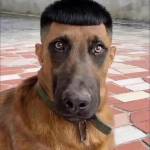 Tim ve nơi ấy Profile Picture