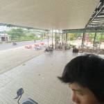 Manh Nguyen Profile Picture