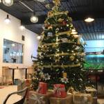 Charlie Le Profile Picture