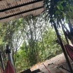 Mập Nguyễn Profile Picture