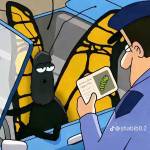 cmd4444 Profile Picture